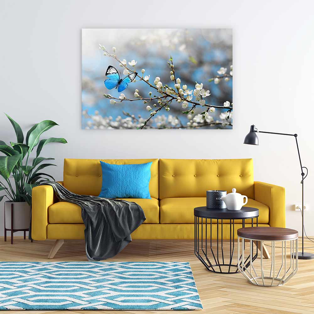 Blue butterfly blossom