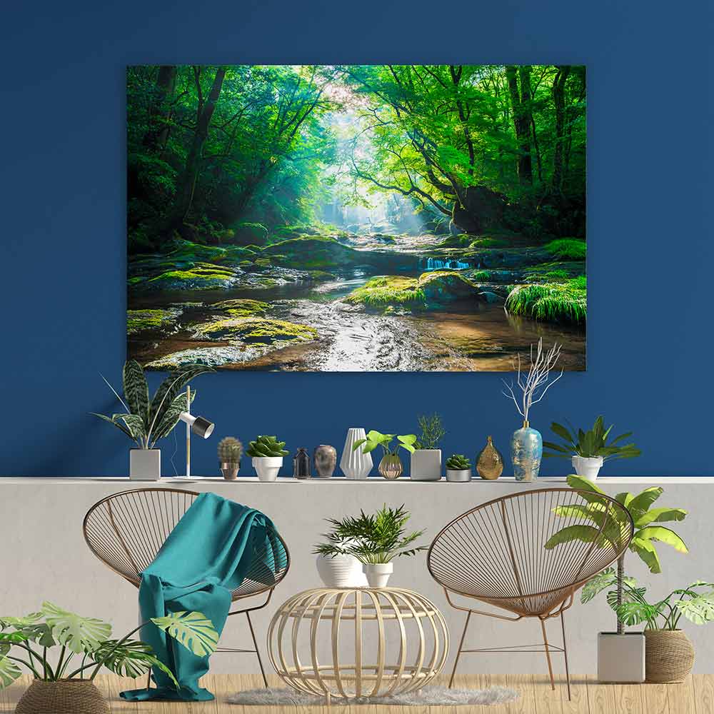 Forest river rays