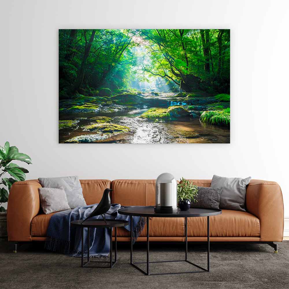 Forest river rays
