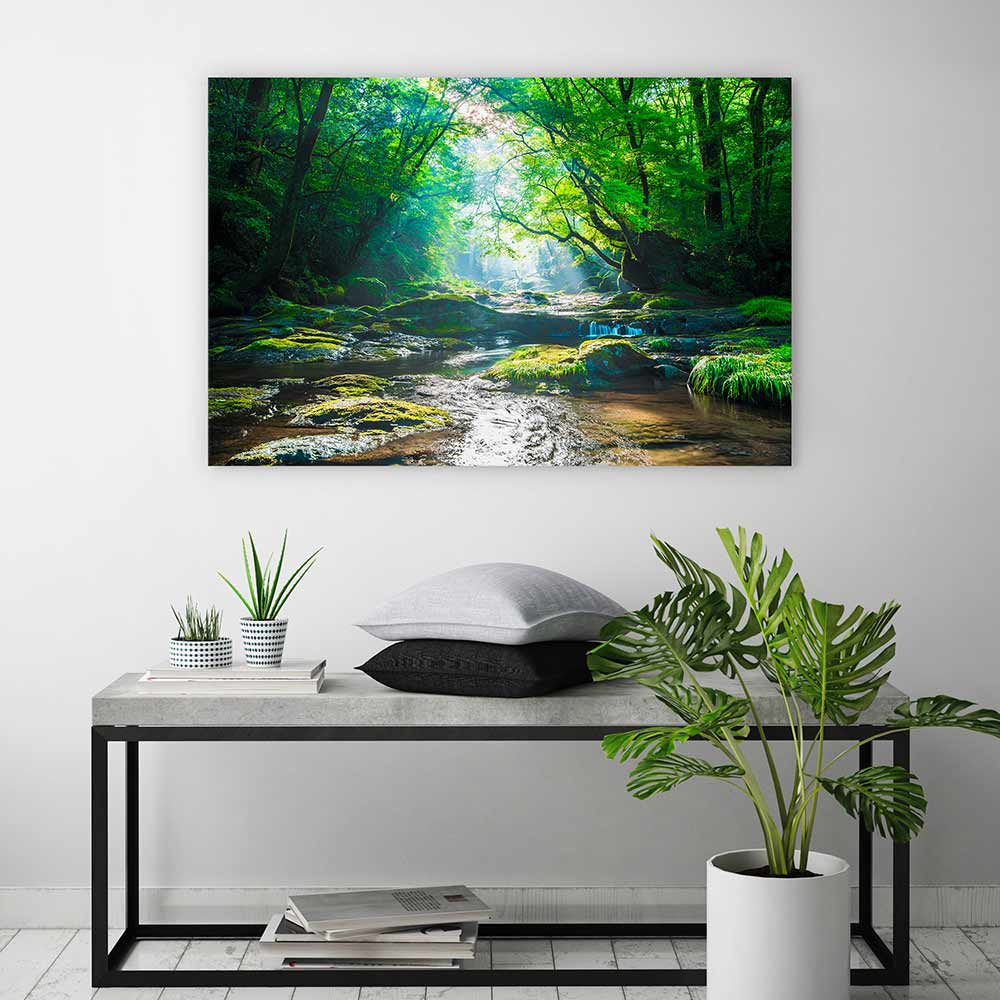 Forest river rays