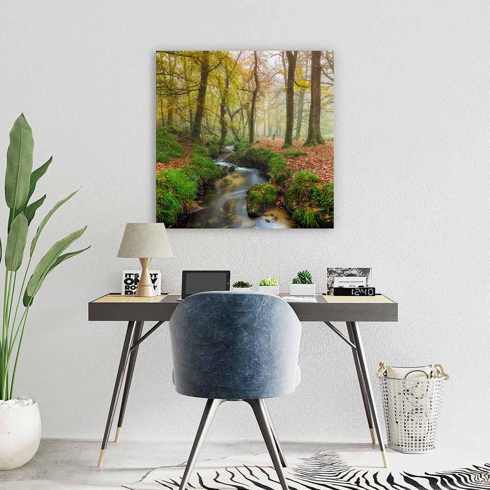 The wandering stream