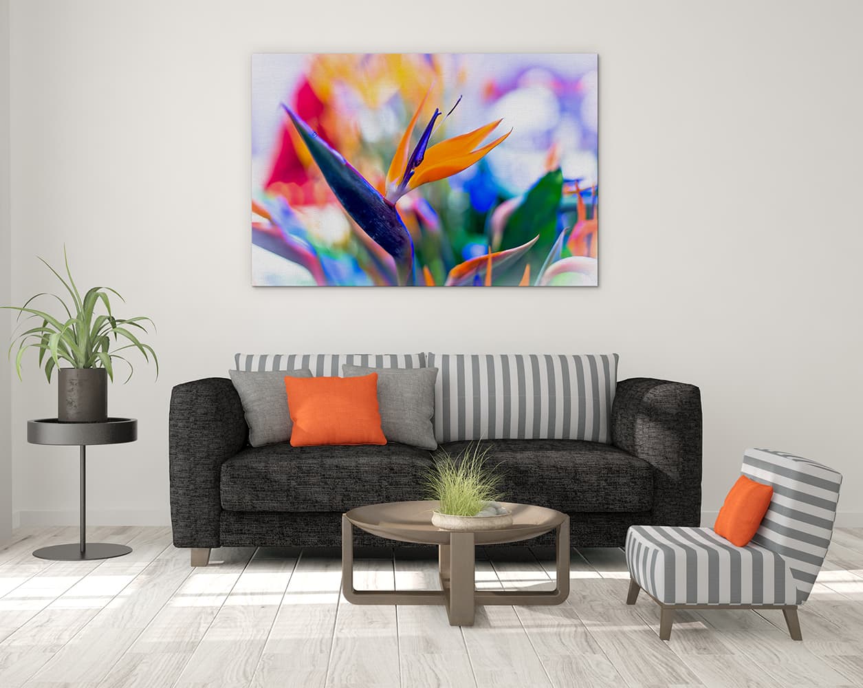 Vibrant bird of paradise