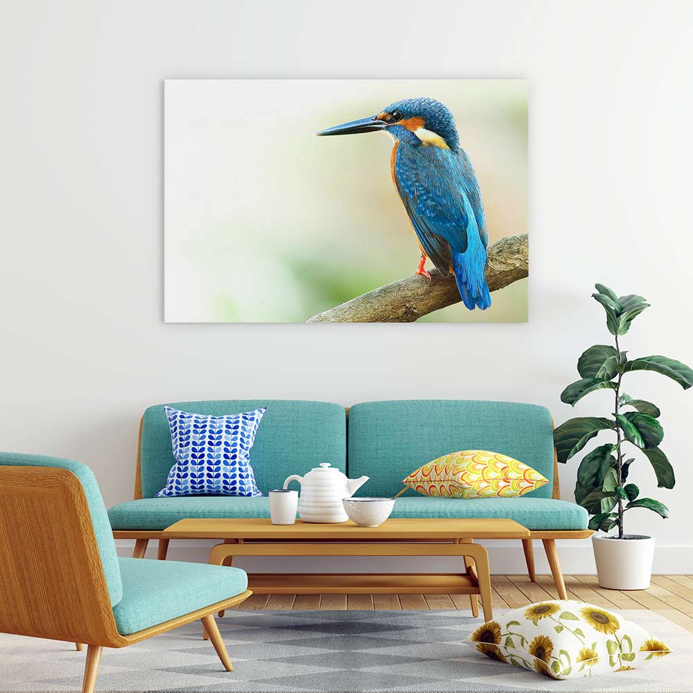 Kingfisher king