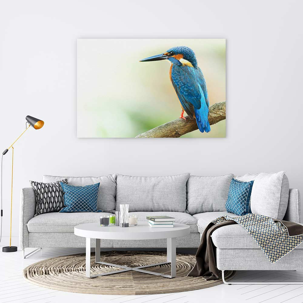 Kingfisher king