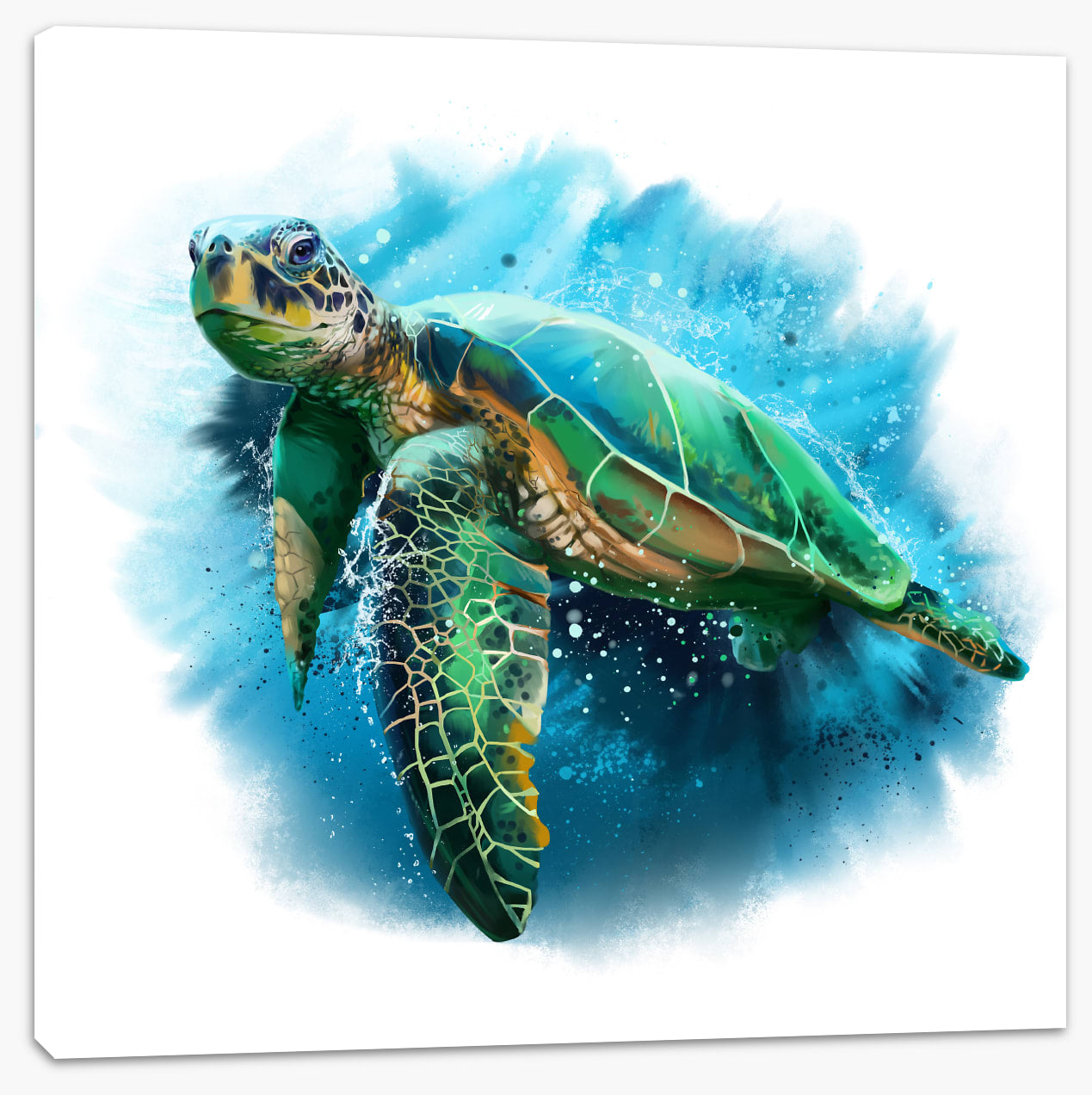 Sea turtle splash (Custom)