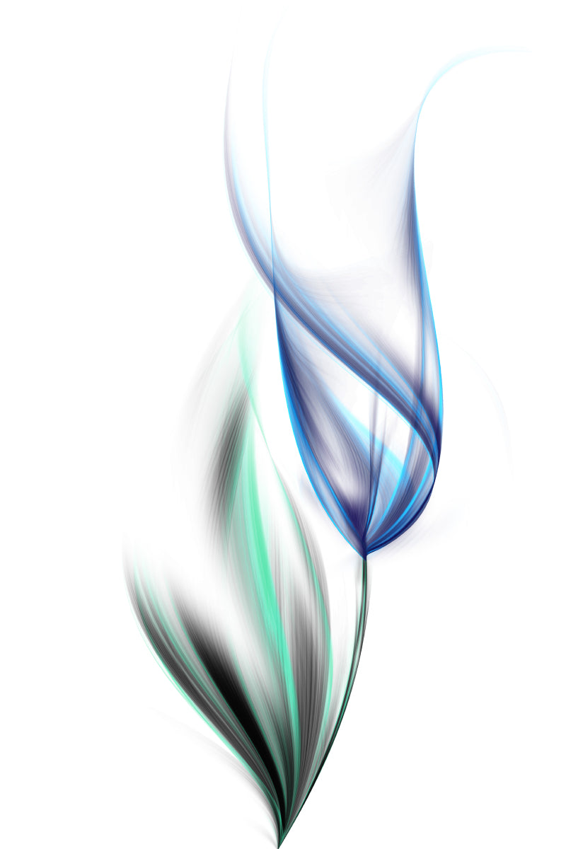 One blue tulip (Custom)