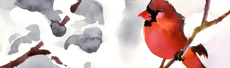 Bird Art by Wall Art Prints