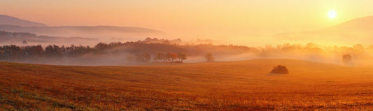 Countryside