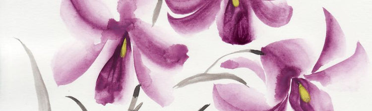 Flower Pictures by Wall Art Prints
