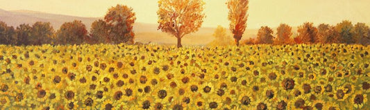 Landscapes