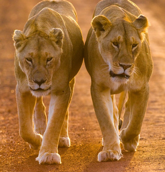 Side by side