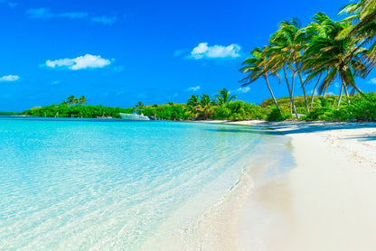 Paradise breeze