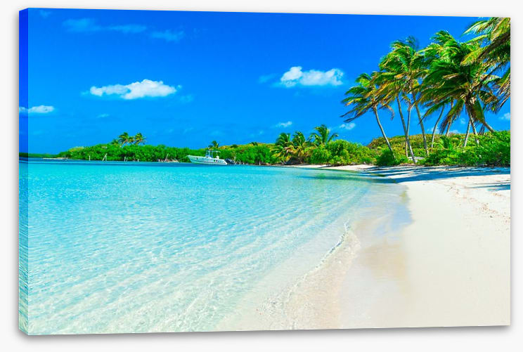 Paradise breeze