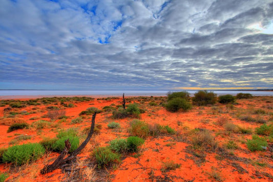 Red centre salt lake