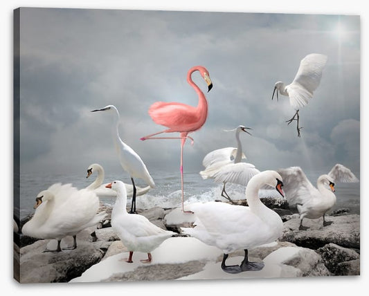 Standing out from the crowd