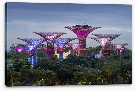 Gardens by the bay