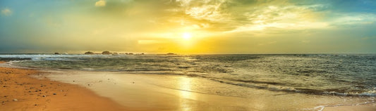 Golden tide panorama