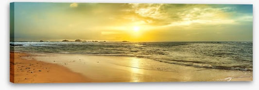 Golden tide panorama