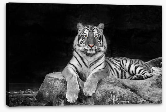 Easy tiger