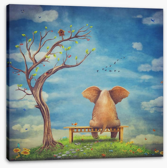 Elephant in the glade