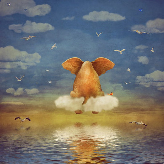 Elephant on the cloud