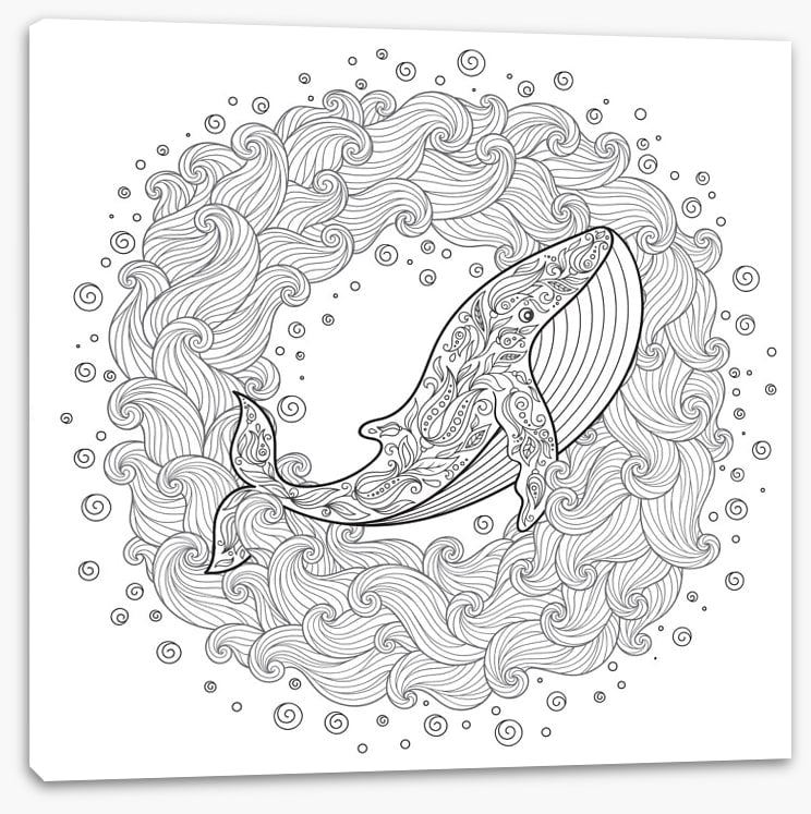 Colour me whale waves