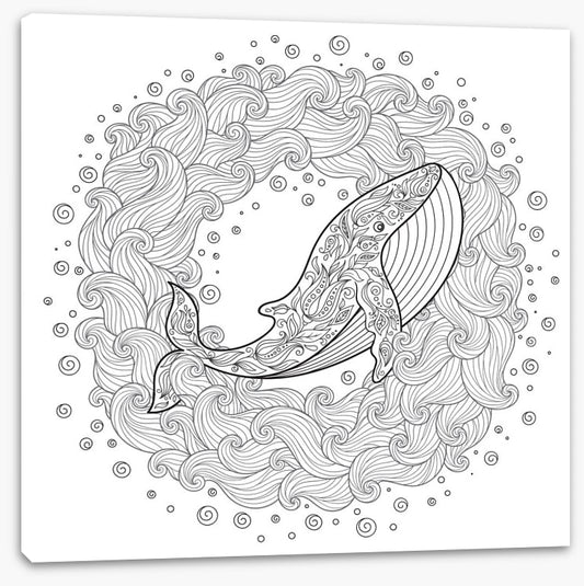 Colour me whale waves