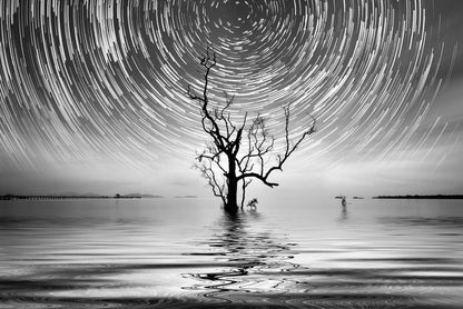 Alone with the star trail