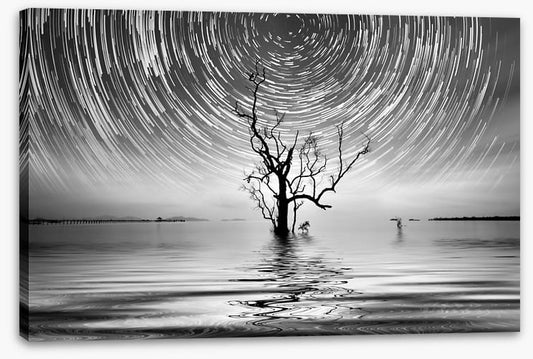 Alone with the star trail