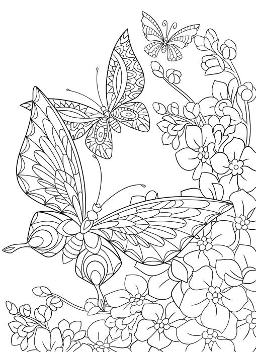 Colour me butterflies