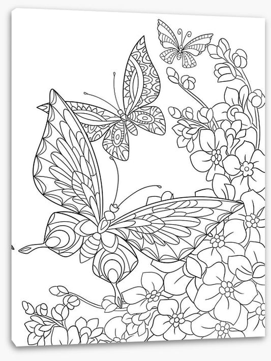 Colour me butterflies