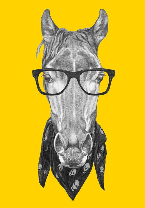 Hipster horse