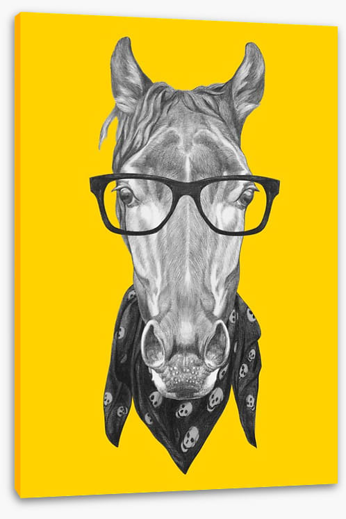 Hipster horse