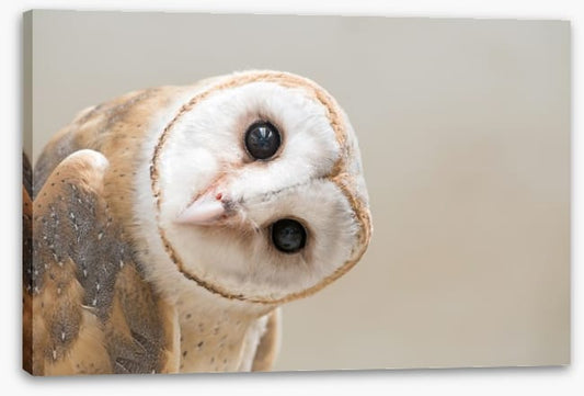 I'll be watching you