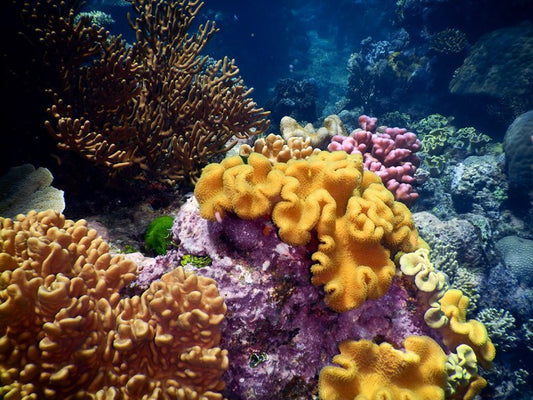 Underwater