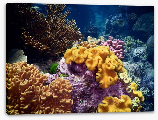 Underwater