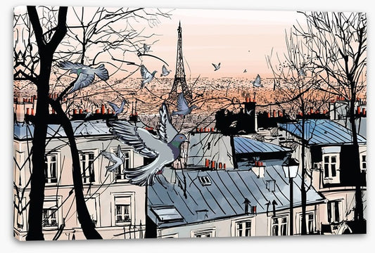 Pigeons of Montmartre