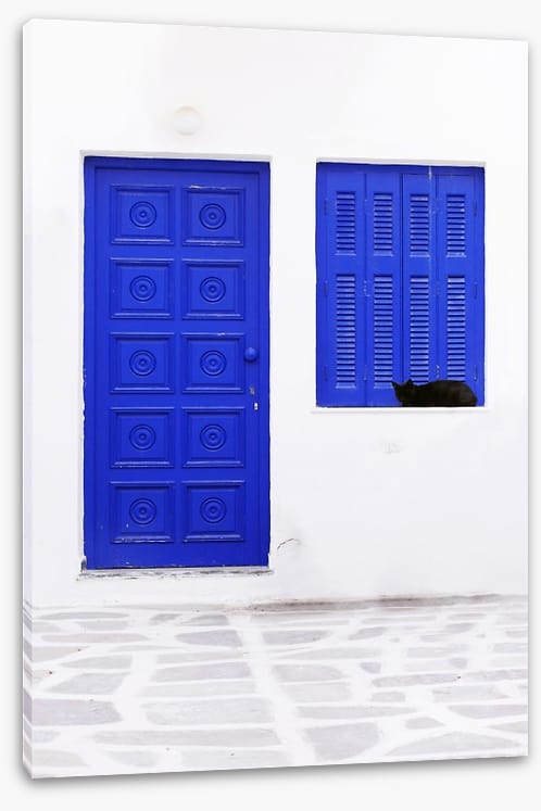 Blue window cat