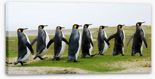Eight kings