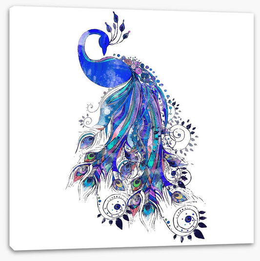 Peacock in ultramarine