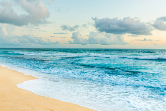 Shore it up