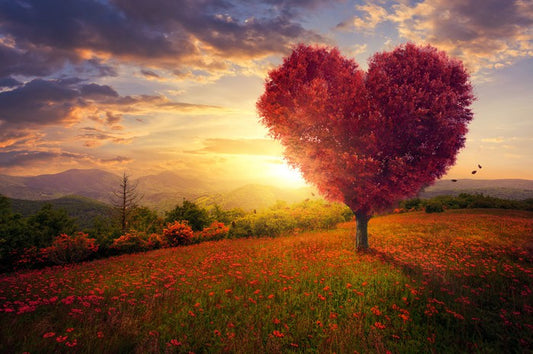 Meadow with the love heart tree