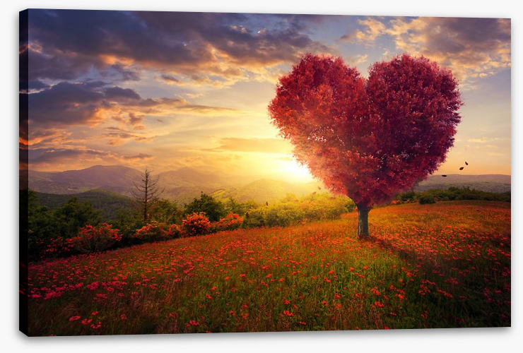 Meadow with the love heart tree