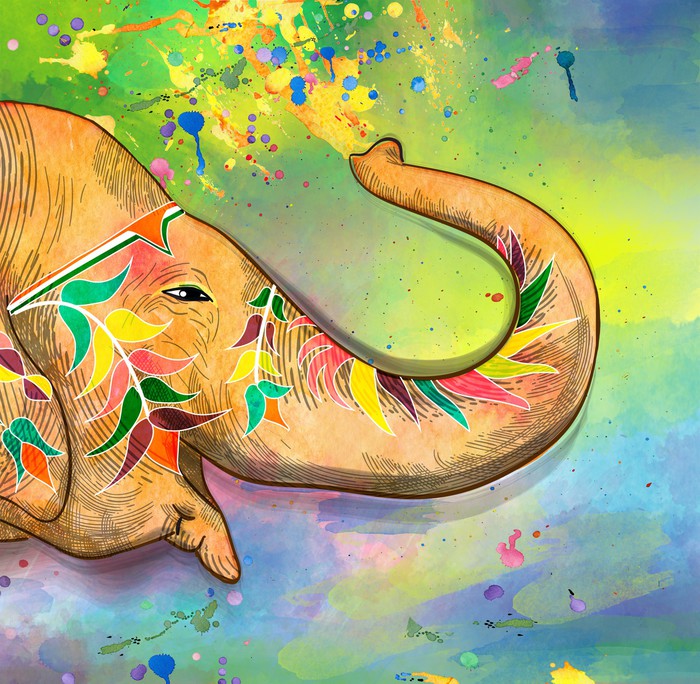 The elephant of Holi