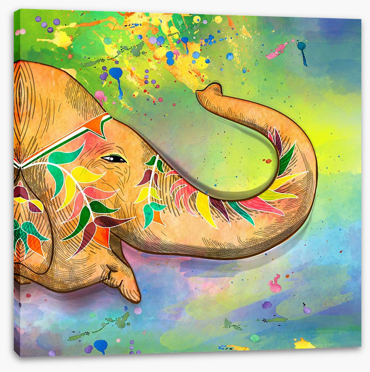 The elephant of Holi