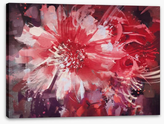 Bloom