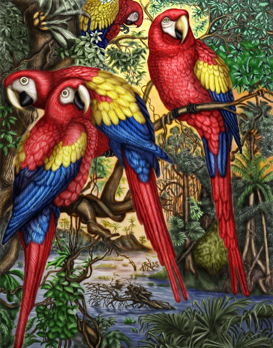 Birds