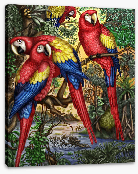 Birds