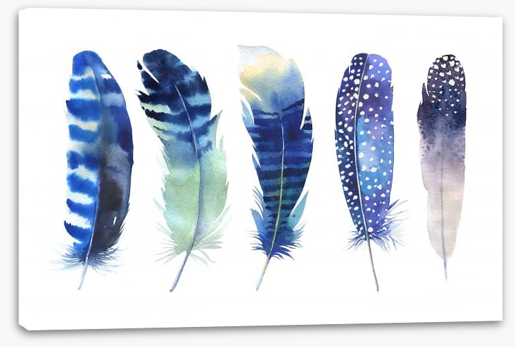 Feather me blue