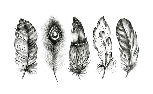 Monochrome quills